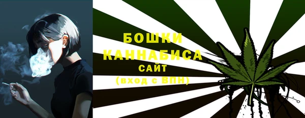 дмт Переславль-Залесский