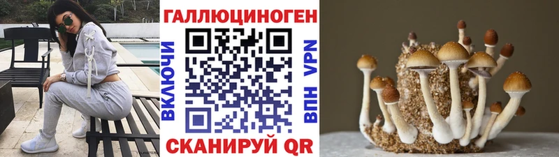 Галлюциногенные грибы мухоморы  shop телеграм  Прохладный 